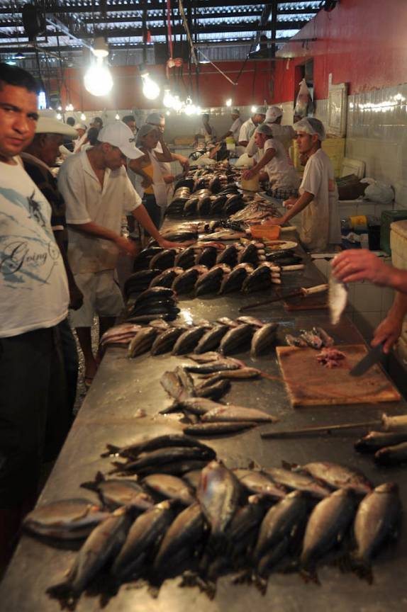 O movimentado mercado de peixes em Manaus - AM